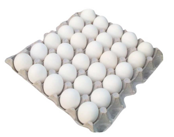 image.png
